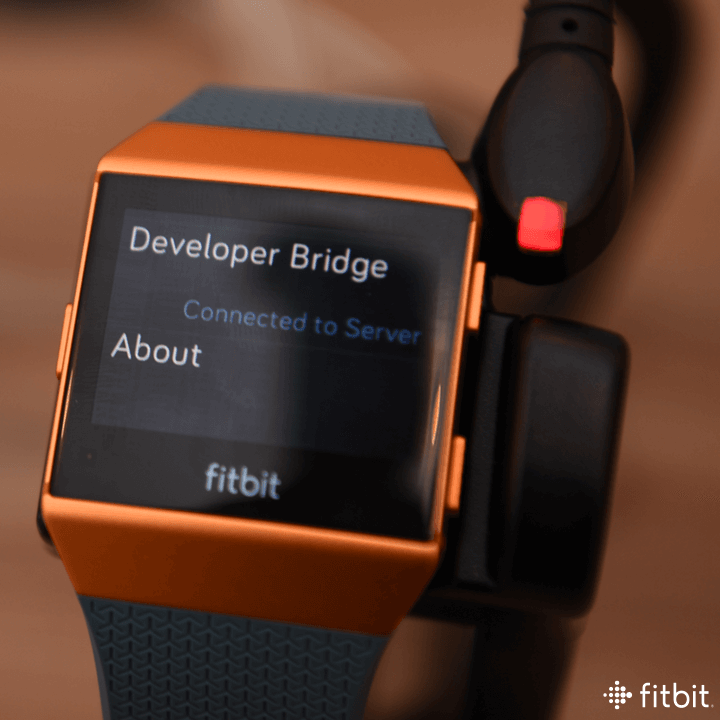 Image of the Fitbit developer bridge on a watch