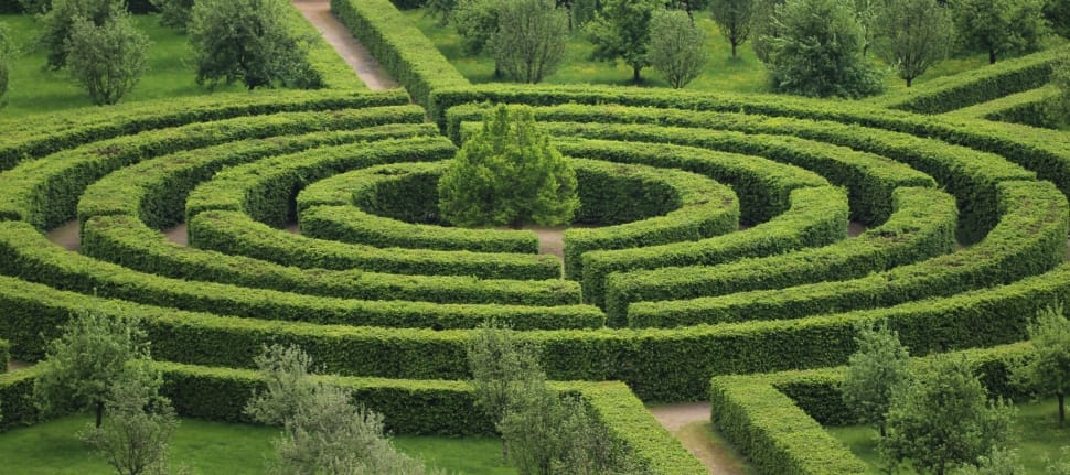 A photo, possibly AI-generated? of a circular hedge maze. Maybe it's not AI generated. It looks sus is all.